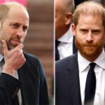 A 'sequência implacável' do príncipe William mantém o irmão distante Harry congelado: especialistas