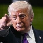 Se esta é a ideia de vitória de Trump, seria interessante saber o que ele consideraria uma derrota, escreve Andrew Neil