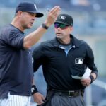 Aaron Boone discute com o árbitro da home plate Will Little na oitava entrada antes de ser expulso pela primeira vez nesta temporada na derrota dos Yankees por 11-4 para os Angels em 16 de abril de 2024.