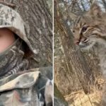 Adolescente de Wisconsin atacado por lince durante caça ao peru em vídeo viral aterrorizante
