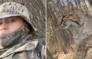 Adolescente de Wisconsin atacado por lince durante caça ao peru em vídeo viral aterrorizante Adolescente de Wisconsin atacado por lince durante caça ao peru em vídeo viral aterrorizante