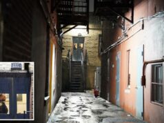 Adolescente é morto a facadas nas costas em frente a prédio em Nova York Beco na 1337 Beach Avenue com uma escada de incêndio e duas figuras olhando por uma porta.