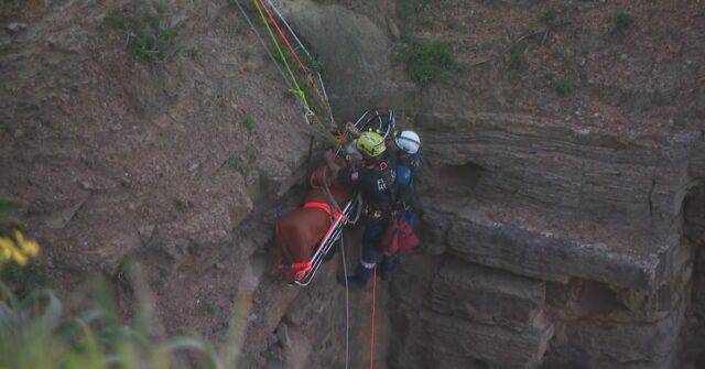 Resgate do respiradouro de Warriewood