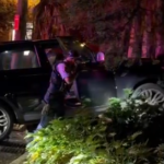 Vídeos postados nas redes sociais por moradores mostraram o Range Rover colidindo com árvores no final da Avenida Edgecumbe, Coogee.