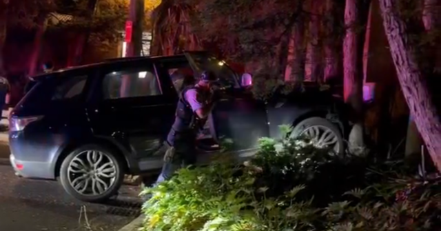 Vídeos postados nas redes sociais por moradores mostraram o Range Rover colidindo com árvores no final da Avenida Edgecumbe, Coogee.