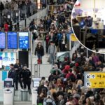 Aeroportos imploram aos viajantes das férias de primavera que parem de chegar tão cedo em meio à loucura das linhas da TSA