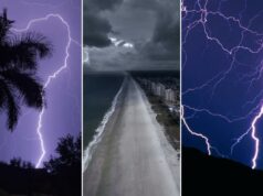 Afirma que é mais provável que você seja morto por um raio revelado – e um lidera com 97 mortes Afirma que é mais provável que você seja morto por um raio revelado – e um lidera com 97 mortes