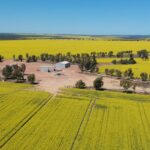 Agregação Northern Wheatbelt vende para interesses locais por US$ 10 milhões
