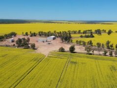 Agregação Northern Wheatbelt vende para interesses locais por US$ 10 milhões Agregação Northern Wheatbelt vende para interesses locais por US$ 10 milhões