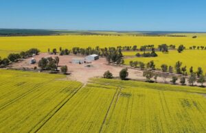 Agregação Northern Wheatbelt vende para interesses locais por US$ 10 milhões Agregação Northern Wheatbelt vende para interesses locais por US$ 10 milhões