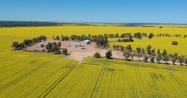 Agregação Northern Wheatbelt vende para interesses locais por US$ 10 milhões

