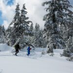 Alerta de neve forte com 30 polegadas para atacar: ‘Considere adiar todas as viagens’