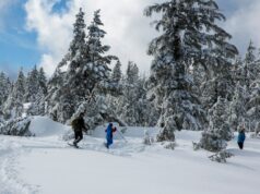 Alerta de neve forte com 30 polegadas para atacar: ‘Considere adiar todas as viagens’ Alerta de neve forte com 30 polegadas para atacar: ‘Considere adiar todas as viagens’