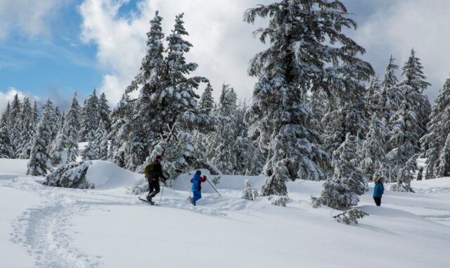 Alerta de neve forte com 30 polegadas para atacar: ‘Considere adiar todas as viagens’
