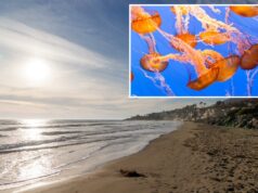 Alerta de picada de água-viva emitido para banhistas nas praias do SoCal Costa oceânica em Malibu, Califórnia, com edifícios residenciais ao longo da costa.