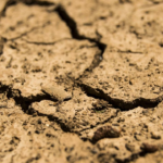 Altos níveis de chumbo encontrados no solo perto de unidades de reciclagem de baterias em toda a Índia: Estudo