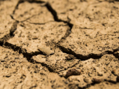 Altos níveis de chumbo encontrados no solo perto de unidades de reciclagem de baterias em toda a Índia: Estudo Altos níveis de chumbo encontrados no solo perto de unidades de reciclagem de baterias em toda a Índia: Estudo