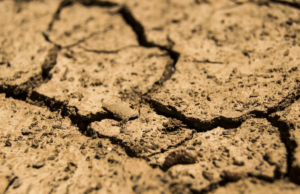 Altos níveis de chumbo encontrados no solo perto de unidades de reciclagem de baterias em toda a Índia: Estudo Altos níveis de chumbo encontrados no solo perto de unidades de reciclagem de baterias em toda a Índia: Estudo