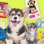 Amazon Pet Days retorna em maio: tudo o que você precisa saber sobre o Prime Day para animais de estimação