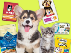 Amazon Pet Days retorna em maio: tudo o que você precisa saber sobre o Prime Day para animais de estimação Amazon Pet Days retorna em maio: tudo o que você precisa saber sobre o Prime Day para animais de estimação