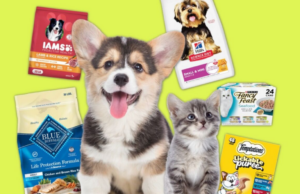 Amazon Pet Days retorna em maio: tudo o que você precisa saber sobre o Prime Day para animais de estimação Amazon Pet Days retorna em maio: tudo o que você precisa saber sobre o Prime Day para animais de estimação
