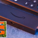 Mão segurando uma embalagem laranja do dispositivo de streaming Amazon Fire TV Stick contra um fundo de folhagem verde.