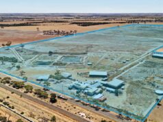 Após anos de silêncio, dois matadouros desativados em WA finalmente chegaram ao mercado Após anos de silêncio, dois matadouros desativados em WA finalmente chegaram ao mercado