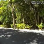 Após o acidente, Tiger Woods disse ao deputado que estava ‘conversando com o presidente’, mostra a câmera corporal