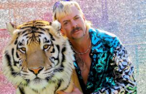 Tribunal de apelações fica do lado da Netflix na luta por direitos autorais de ‘Tiger King’ As 7 melhores séries documentais para farra na Netflix agora mesmo