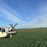 As empresas globais estão a fazer grandes investimentos em produtos biológicos: o que saber