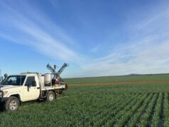 As empresas globais estão a fazer grandes investimentos em produtos biológicos: o que saber As empresas globais estão a fazer grandes investimentos em produtos biológicos: o que saber