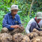 Astra Dorong Komoditas Unggulan Tingkatkan Pendapatan Masyarakat Lokal