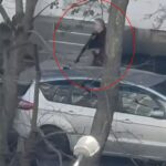 O prefeito Vitali Klitschko disse que vários foram mortos e outros ficaram feridos, incluindo uma criança, enquanto o assistente ainda está foragido