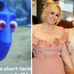 Uma postagem na história do Instagram de Ramona Agruma-Wilson, esposa do ator australiano Rebel Wilson. A imagem foi licitada em tribunal.