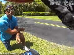 Atordoado e suado, Tiger Woods visto em imagens chocantes da câmera corporal da última prisão por DUI enquanto a queda da lenda do golfe é revelada Tiger Woods se ajoelha na beira da estrada depois de rolar seu SUV em uma pitoresca rua da Ilha de Júpiter