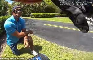 Atordoado e suado, Tiger Woods visto em imagens chocantes da câmera corporal da última prisão por DUI enquanto a queda da lenda do golfe é revelada Tiger Woods se ajoelha na beira da estrada depois de rolar seu SUV em uma pitoresca rua da Ilha de Júpiter