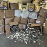 Vinte e seis caixas de barbatanas de tubarão apreendidas em Anchorage, Alabama (USFWS)