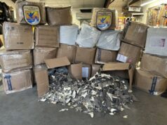 Autoridades apreendem 50 mil barbatanas de tubarão disfarçadas de peças de automóveis em portos dos EUA Vinte e seis caixas de barbatanas de tubarão apreendidas em Anchorage, Alabama (USFWS)