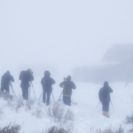 Aviso de neve forte, até 12 polegadas para atingir - 'Condições perigosas'
