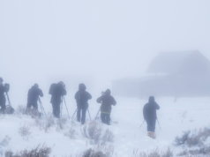 Aviso de neve forte, até 12 polegadas para atingir – ‘Condições perigosas’ Aviso de neve forte, até 12 polegadas para atingir - 'Condições perigosas'