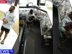 ‘Bandido do peito’ flagrado pela câmera roubando centenas de dólares da melhor carne bovina 'Bandido do peito' flagrado pela câmera roubando centenas de dólares da melhor carne bovina