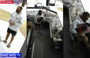 ‘Bandido do peito’ flagrado pela câmera roubando centenas de dólares da melhor carne bovina 'Bandido do peito' flagrado pela câmera roubando centenas de dólares da melhor carne bovina