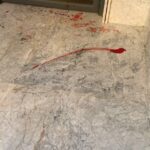 Esta é a cena horrível que se desenrola na cidade marroquina de Nador, enquanto as autoridades massacram “milhões” de cães vadios para abrir caminho às multidões que assistiam ao Campeonato do Mundo de 2030. A observação é afirmada como observação de cães baleados fora de seu apartamento, fora do saguão