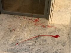 Banho de sangue nas ruas enquanto milhões de cães são ‘massacrados’ por pelotões de fuzilamento antes da Copa do Mundo Esta é a cena horrível que se desenrola na cidade marroquina de Nador, enquanto as autoridades massacram “milhões” de cães vadios para abrir caminho às multidões que assistiam ao Campeonato do Mundo de 2030. A observação é afirmada como observação de cães baleados fora de seu apartamento, fora do saguão