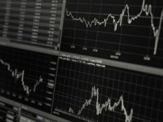 Banyak yang Tidak Sadar, 5 investidores importantes Pemula saat Krisis Ini Bisa Bikin Rugi Besar! Banyak yang Tidak Sadar, 5 investidores importantes Pemula saat Krisis Ini Bisa Bikin Rugi Besar!