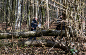 Bebê entre os três mortos no terror do feriado enquanto a caça aos ovos de Páscoa se torna mortal Bebê entre os três mortos no terror do feriado enquanto a caça aos ovos de Páscoa se torna mortal