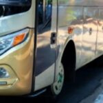 Big Bird Bisa Disewa para Liburan Bersama Keluarga, Intip 5 Keunggulan