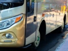 Big Bird Bisa Disewa para Liburan Bersama Keluarga, Intip 5 Keunggulan Big Bird Bisa Disewa para Liburan Bersama Keluarga, Intip 5 Keunggulan