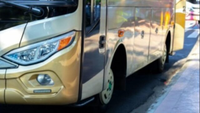 Big Bird Bisa Disewa para Liburan Bersama Keluarga, Intip 5 Big Bird Bisa Disewa para Liburan Bersama Keluarga, Intip 5 Keunggulan