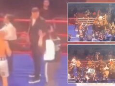Boxeador atacado por fãs com cadeiras em cena caótica após vencer luta Boxeador atacado por fãs com cadeiras em cena caótica após vencer luta